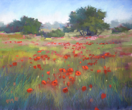 Wander Through the Poppies