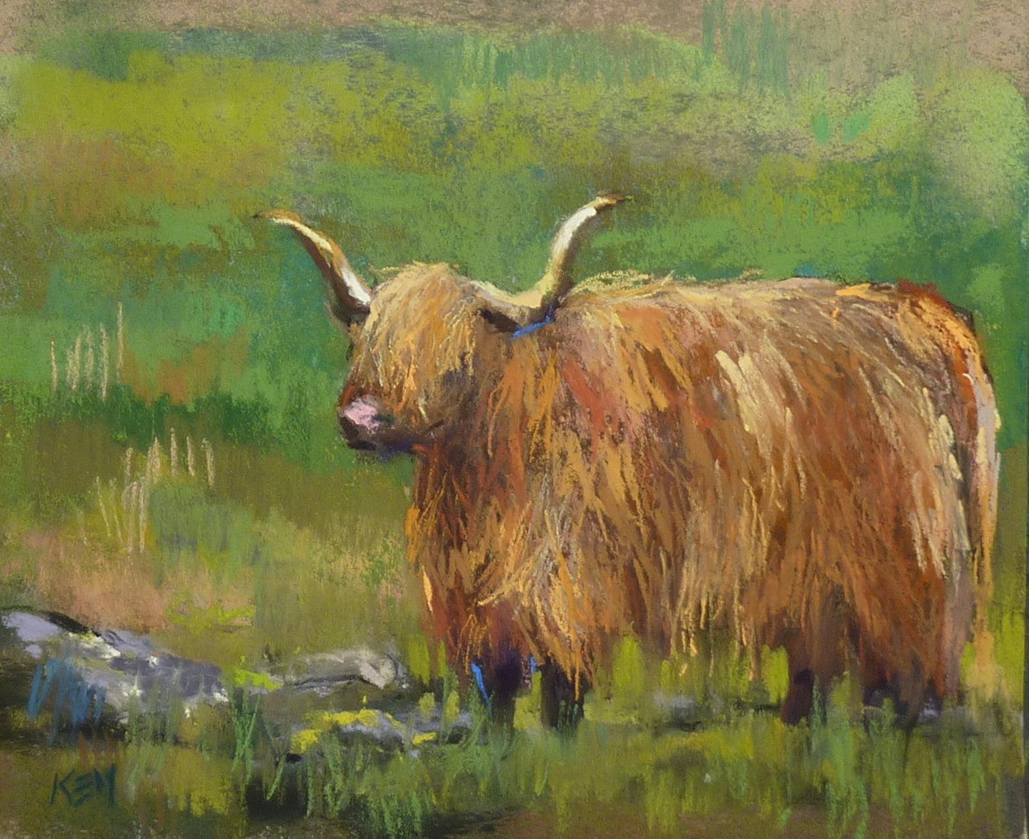 Highland Friend